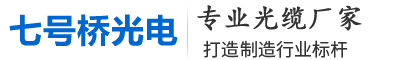 七號(hào)橋廣電科技